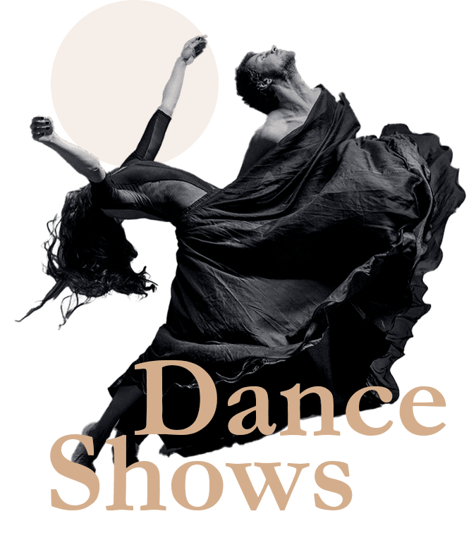 Dance Shows & Events PowerHouse Studioz